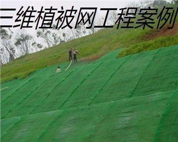 什么情況下采用三維植被網(wǎng)防護(hù)？