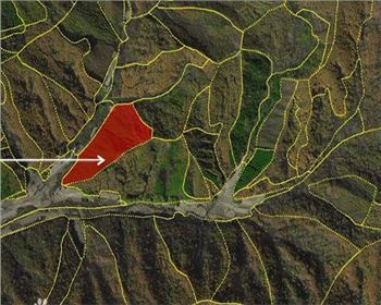 什么是影像地圖？