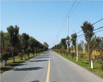  什么是公路基本建設(shè)程序？什么是公路建設(shè)項(xiàng)目經(jīng)濟(jì)評(píng)價(jià)？